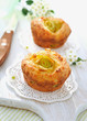 Just baked homemade zucchini-cheese muffins. Just baked homemade zucchini-cheese muffins.