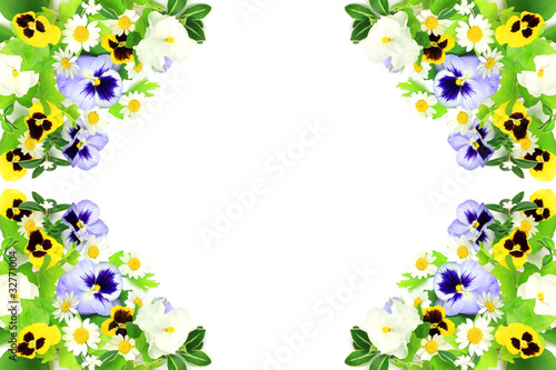 Photo: flower flower