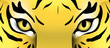 Augen eines Tigers