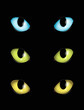 Katzenaugen in verschiedenen Farben