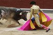 Toro y torero