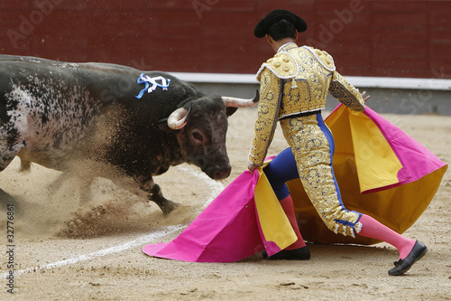Photo: Toro y torero Toro y torero