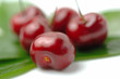 Cherries
