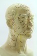 Foto: Akupunktur - Traditionelle Chinesische Medizin - Kopf Model Akupunktur - Traditionelle Chinesische Medizin - Kopf Model