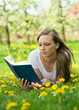 Reading the book