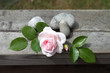 Rose et Amour