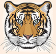 tiger vector illustration