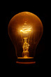 Enlighten Enlighten
