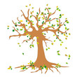Baum im Herbst