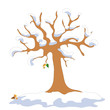 Baum in Winter