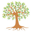 Baum in Frühling mit Blüten