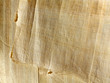 Papyrus paper