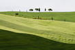 Photo: Tuscany Tuscany