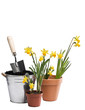 Gardening
