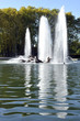 bassin d'apollon