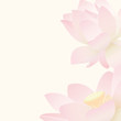Lotus background