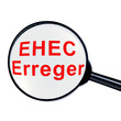 EHEC Erregerlupe