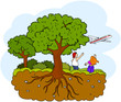 Tree with roots