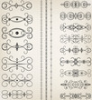 Set of ornaments vector Set of ornaments vector