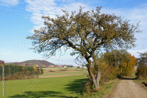 Foto: Arzlohe Arzlohe