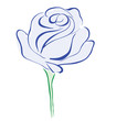 Vector: Blue rose flower isolated on white background Blue rose flower isolated on white background