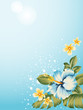hibiscus_01