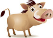 Warthog