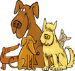 Five funny Dogs Five funny Dogs