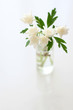 white flowers