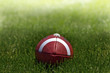 Photo: Football on Grass Football on Grass