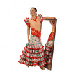 Flamenko dancer Flamenko dancer