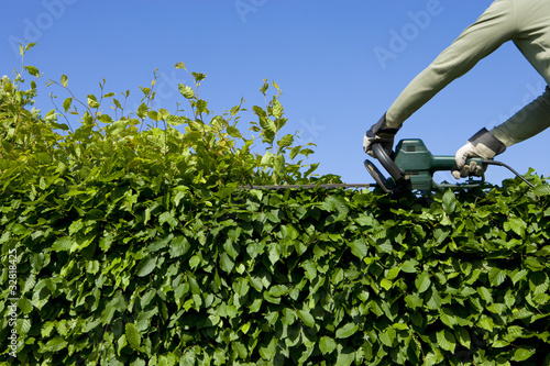 Photo: Hecke Schneiden Hecke Schneiden