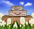 Traveling  suitcases in a tulip field with sunlight