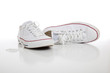 Retro sneakers on a white background