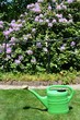 Gießkanne im Garten