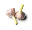 knoblauch