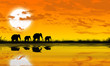 Sud Africa