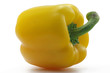 gelbe paprika