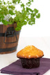 Muffin on the table, in background a green plant