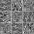 Vektor: Set zebra texture black and white Set zebra texture black and white