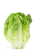 lettuce heart lettuce heart