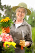 Seniorin bei Gartenarbeit