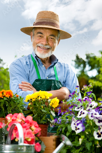 Photo: Senior man with the pots of flowers in his garden Senior man with the pots of flowers in his garden