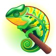Camaleonte-Chameleon-Caméléon-Cartoon Camaleonte-Chameleon-Caméléon-Cartoon