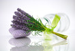 Bunch of lavender