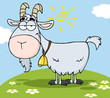 Goat Cartoon Character On A Hill