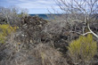 San cristobal island,iles galapagos Ecuador San cristobal island,iles galapagos Ecuador