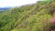 蓼科高原横谷渓谷の大滝　Otaki Falls in Yokoya Valley