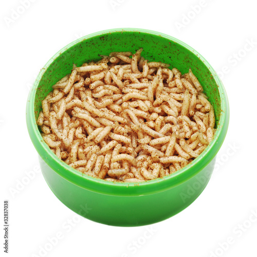 Photo: maggots maggots