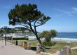 plage de Trestraou à Perros guirec,perros-guirec,bretagne